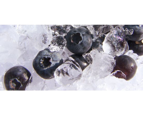 Kultivētas mellenes, saldētas, 1x10 kg
