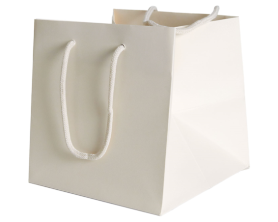 BSD Bag 20 Color, 20x20xh.20+5cm, 25 tk